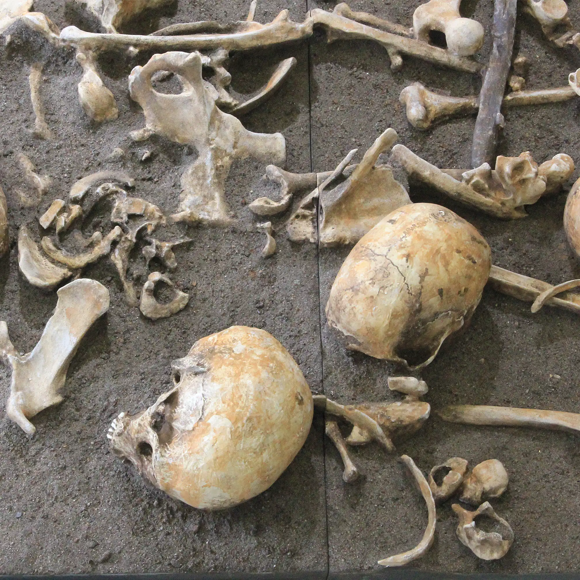 Ausstellungsmodell der Fundsituation im Tollensetal