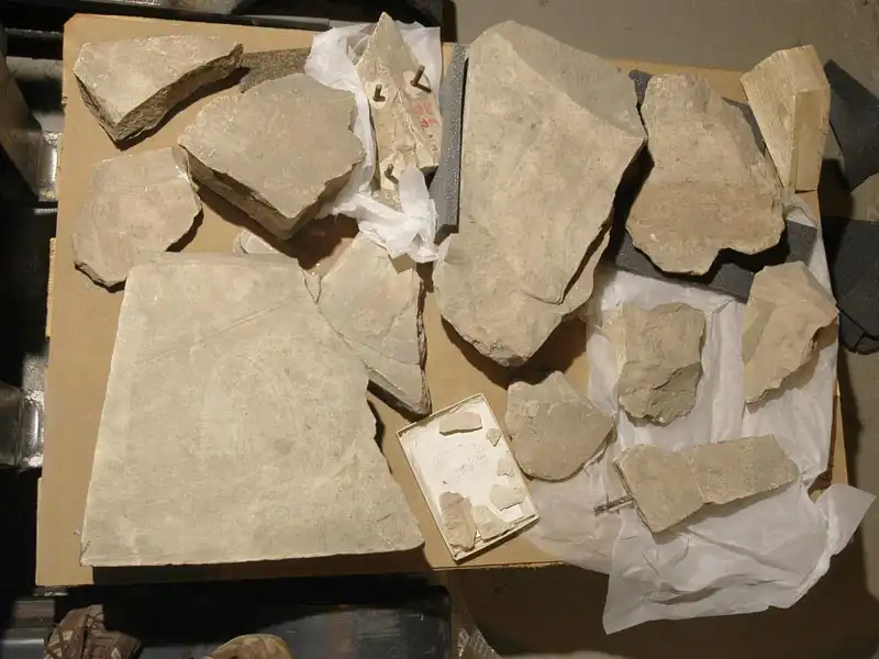 Tempelreliefs – Neues Museum Berlin - Einzelfragmente vor der 3D-Erfassung mittels Steiflichtscanner